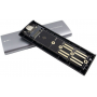 Adaptateur USB 3.1 vers SSD M.2 - Câble USB C - B+M - Double Protocole NVMe/NGFF