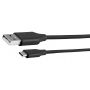 Câble USB C femelle vers USB A Male