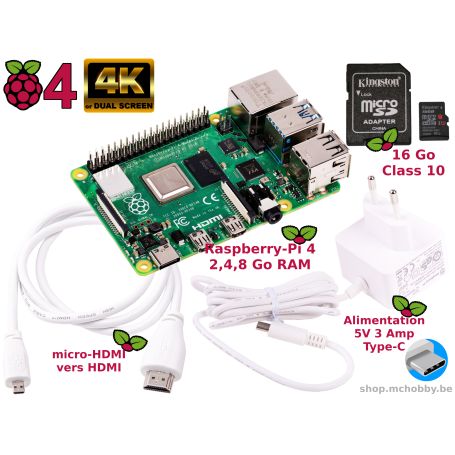 Raspberry Pi 4 Essential Pack (Pi 4 included)