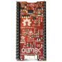 RT1010-Py MicroPython development board - Cortex M7 @ 500 MHz