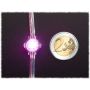 Guirlande LED RGB Neopixel - 20 LEDs - Empat. 10cm (STRAND)