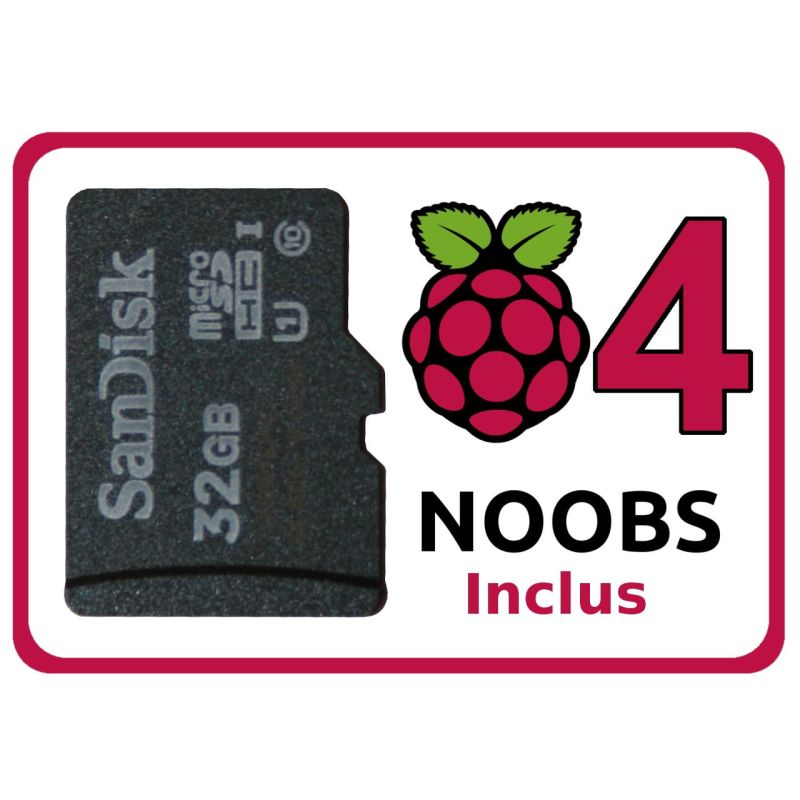 Noobs Pi 4 - Carte SD 32Go 