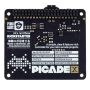 Hat Picade X - RetroGaming controller