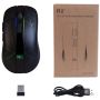 Optical mouse with RGB backlight - USB 2.4 GHz Receiver - RM200