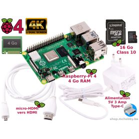 Raspberry Pi 4 4Gb Essential Pack (Pi 4 inclus, WHITE)