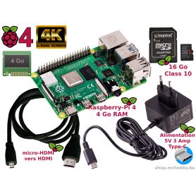 Raspberry Pi 4 4Go Essentiel Pack (Pi 4 inclus, Noir)