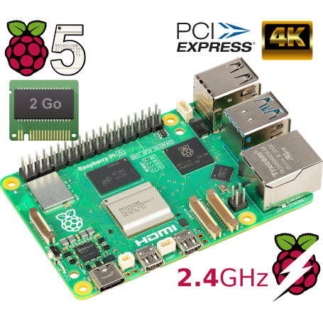 Raspberry-Pi 5 - 2 Go RAM