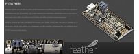 Feather - Adafruit Industries